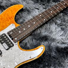 SCHECTER JAPAN SD-2-24-AL AMB (Amber) / Rosewood 【人気モデル!】【日本製】_5