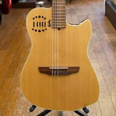 Godin Multiac Duet Nylon