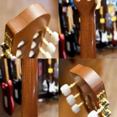 Godin Multiac Duet Nylon_3