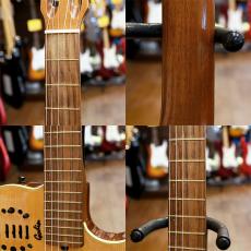 Godin Multiac Duet Nylon_4