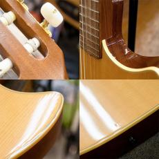 Godin Multiac Duet Nylon_5