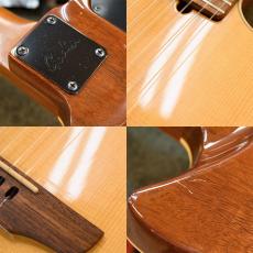 Godin Multiac Duet Nylon_6