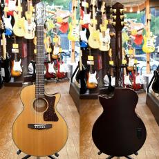 Guild Songbird_2