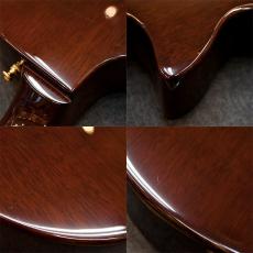 Guild Songbird_4
