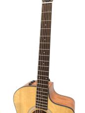 Taylor 114ce_4