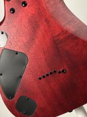 Ibanez 【即納可能】RGD721FA - Stained Wine Red Burst Flat- 【26.5スケール】_10