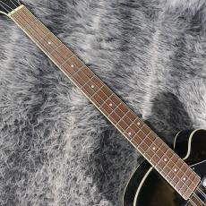 Ibanez AFB200-TKS_4