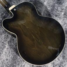 Ibanez AFB200-TKS_7