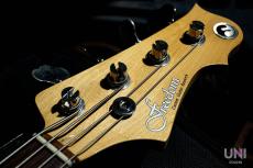 FREEDOM CUSTOM GUITAR RESEARCH Rhino 4st_4