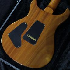 Paul Reed Smith [PRS] 【2017年製】Custom24 10 Top【3.50kg】_6