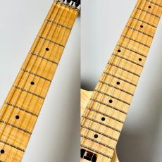 PEAVEY 【決算セール!】HP 2 Poplar Burl RM -Natural-【3.76kg】_4