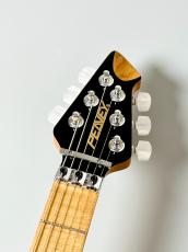 PEAVEY 【決算セール!】HP 2 Poplar Burl RM -Natural-【3.76kg】_5