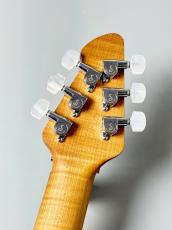 PEAVEY 【決算セール!】HP 2 Poplar Burl RM -Natural-【3.76kg】_6