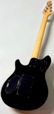 PEAVEY 【決算セール!】HP 2 Poplar Burl RM -Natural-【3.76kg】_9