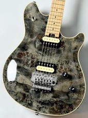 PEAVEY 【決算セール!】HP 2 Poplar Burl RM -Transparent Black- 【3.92kg】