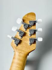 PEAVEY 【決算セール!】HP 2 Poplar Burl RM -Transparent Black- 【3.92kg】_6
