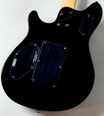 PEAVEY 【決算セール!】HP 2 Poplar Burl RM -Transparent Black- 【3.92kg】_8