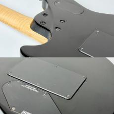 PEAVEY 【決算セール!】HP 2 Poplar Burl RM -Transparent Black- 【3.92kg】_10