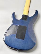 E-II 【決算セール!】【USED】SN-2 Blue Natural Fade【3.78KG】_4