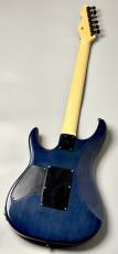 E-II 【決算セール!】【USED】SN-2 Blue Natural Fade【3.78KG】_5