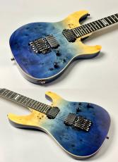 E-II 【決算セール!】【USED】SN-2 Blue Natural Fade【3.78KG】_6