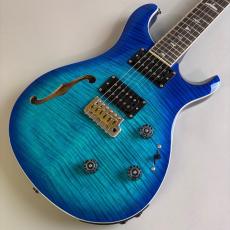 Paul Reed Smith [PRS] SE CUSTOM24