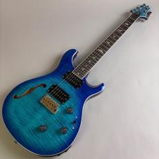 Paul Reed Smith [PRS] SE CUSTOM24_2
