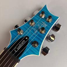 Paul Reed Smith [PRS] SE CUSTOM24_4