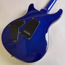 Paul Reed Smith [PRS] SE CUSTOM24_5