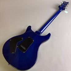 Paul Reed Smith [PRS] SE CUSTOM24_6