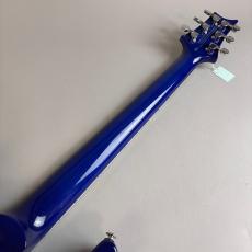Paul Reed Smith [PRS] SE CUSTOM24_7
