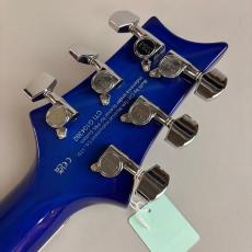 Paul Reed Smith [PRS] SE CUSTOM24_8