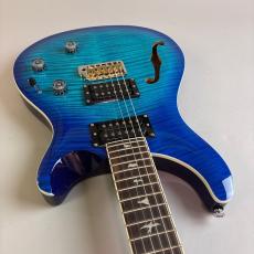 Paul Reed Smith [PRS] SE CUSTOM24_9
