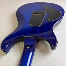 Paul Reed Smith [PRS] SE CUSTOM24_10