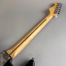 Fender American Professional Stratocaster_7
