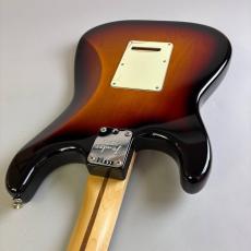 Fender American Professional Stratocaster_10