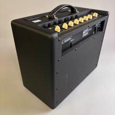 VOX VT20+_5