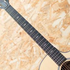 Taylor Next Generation 314ce_6
