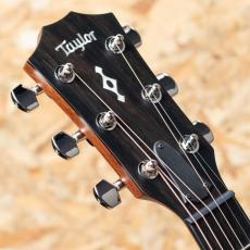 Taylor Next Generation 314ce_8