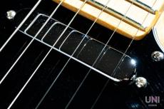 Fender American Professional Telecaster / 2017_5