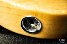 Fender American Professional Telecaster / 2017_8