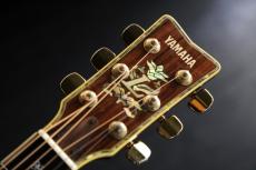 YAMAHA L-55 Custom Jacaranda　テリー中本さんサイン入り　L55_2