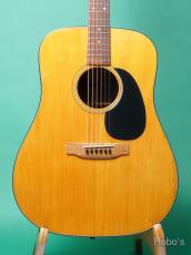 Martin D-21