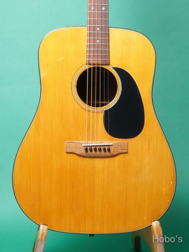 Martin D-21