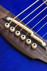 Takamine 【クロサワ横浜店】【スプルース×ローズウッド単板】DMP552C DBS 【48回無金利分割可能】_9
