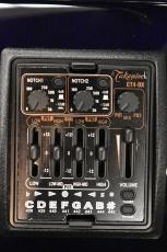 Takamine 【クロサワ横浜店】【スプルース×ローズウッド単板】DMP552C DBS 【48回無金利分割可能】_11