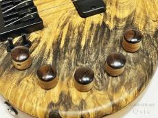 elrick Platinum Series e-volution 5st -Buckeye Burl- 【返品OK】[PLR17]【神戸店在庫】  // セール対象商品!_8