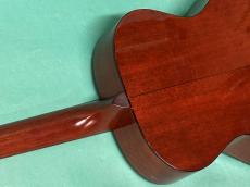 Taylor 512_9