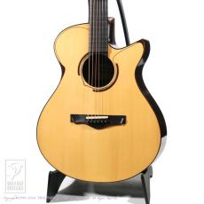 MICHIHIRO MATSUDA Style M1 Cutaway