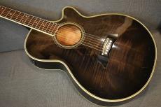 Takamine PT-118【USED/1984年】
